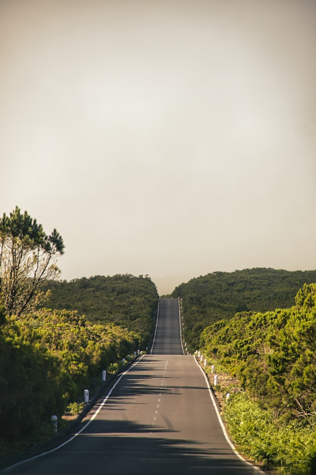 मार्ग तालिका